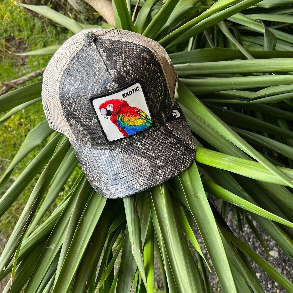 Parrot Goorin Bros Perico GOORIN BROS EXOTIC