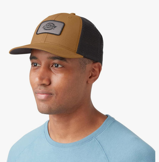 Dickies cancas trucker cap