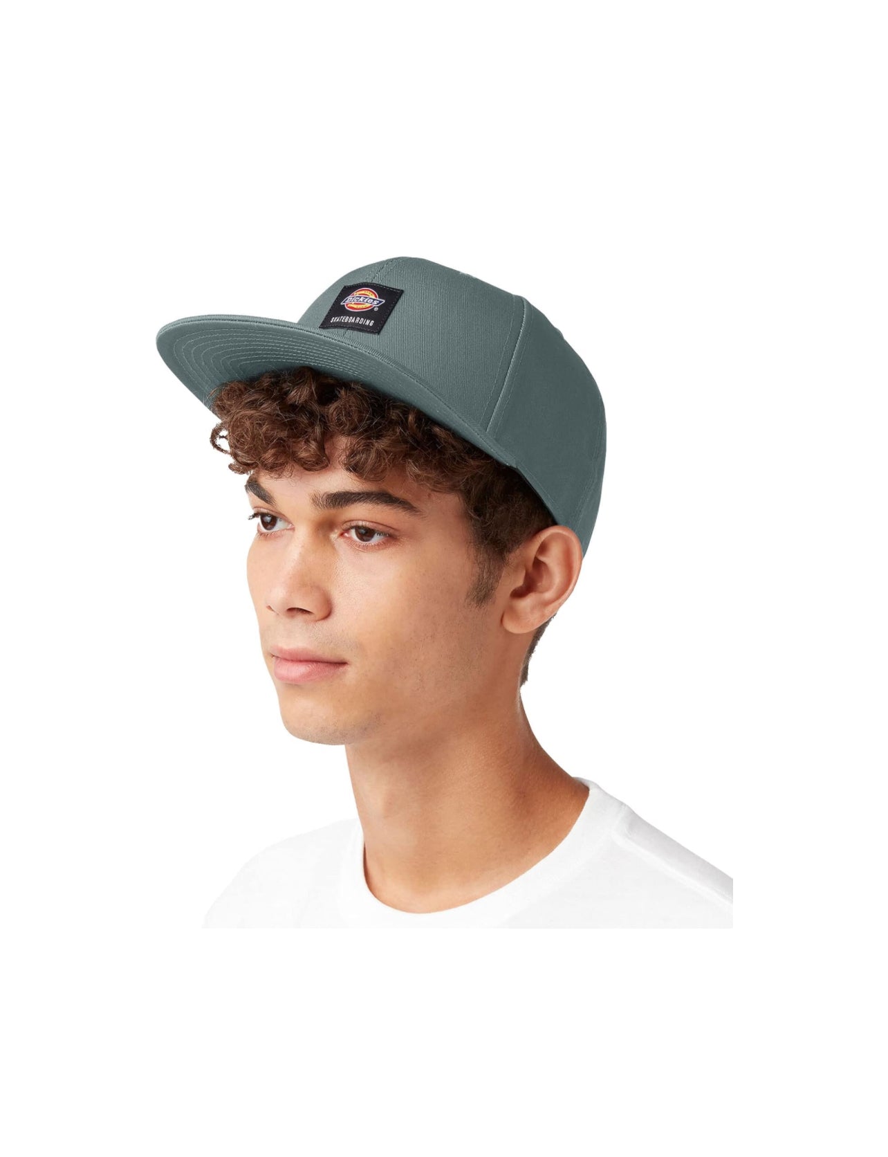 Dickies skateboarding cap