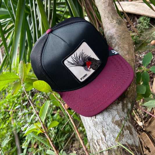 GOORIN BROS PUNK (SOFT MESHBACK)