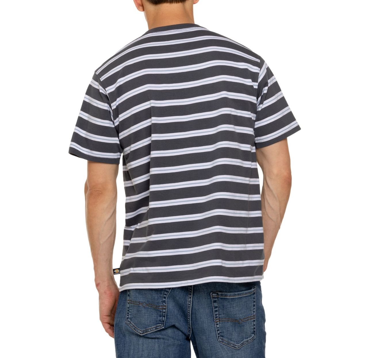 Dickies Skateboarding Stripe T-Shirt - Short Sleeve (CHARCOAL MINI STRIPE)